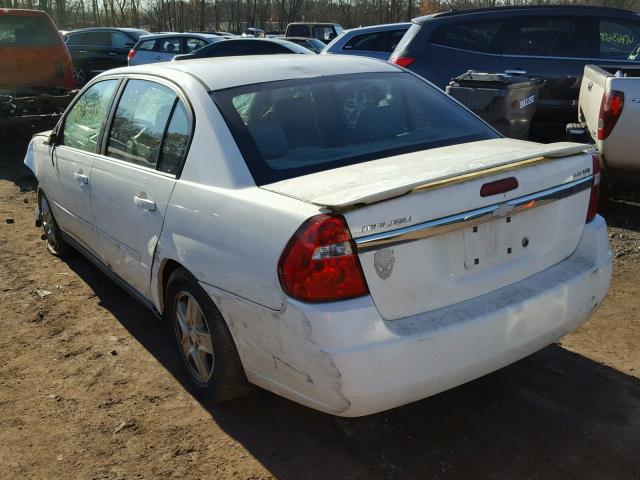 1G1ZT54805F141773 - 2005 CHEVROLET MALIBU LS თეთრი ფოტო 3