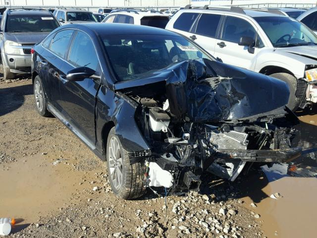 5NPE34AF3GH352963 - 2016 HYUNDAI SONATA SPO BLACK photo 1