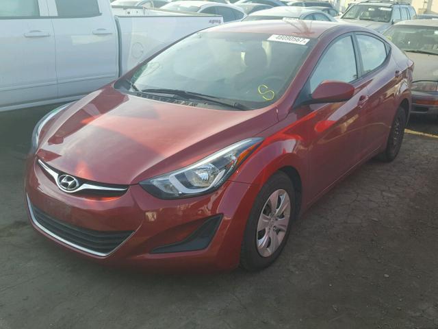 5NPDH4AE2GH742540 - 2016 HYUNDAI ELANTRA SE RED photo 2