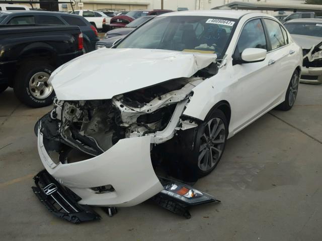 1HGCR2F51EA234328 - 2014 HONDA ACCORD SPO WHITE photo 2