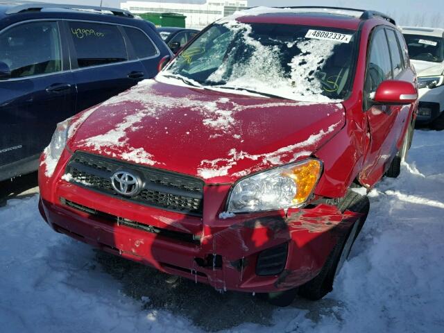 2T3ZF4DV5CW155582 - 2012 TOYOTA RAV4 RED photo 2