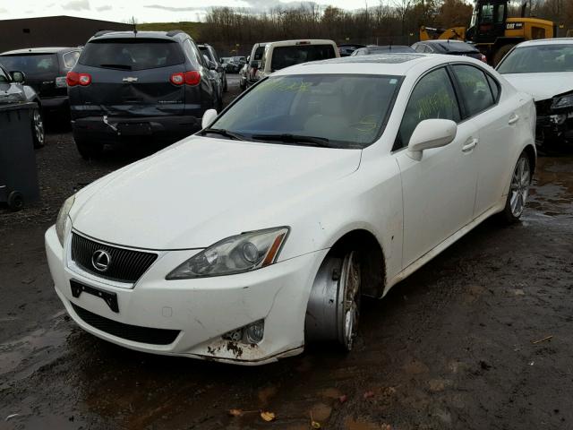 JTHCK262965003467 - 2006 LEXUS IS 250 WHITE photo 2