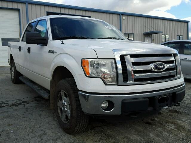 1FTFW1EF5CFB77267 - 2012 FORD F150 SUPER WHITE photo 1