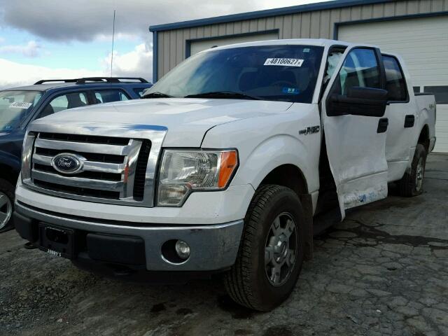 1FTFW1EF5CFB77267 - 2012 FORD F150 SUPER WHITE photo 2