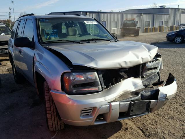 1GNDT13S082176596 - 2008 CHEVROLET TRAILBLAZE GOLD photo 1