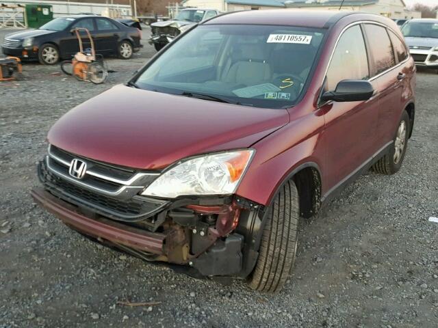 5J6RE4H41BL091072 - 2011 HONDA CR-V SE MAROON photo 2