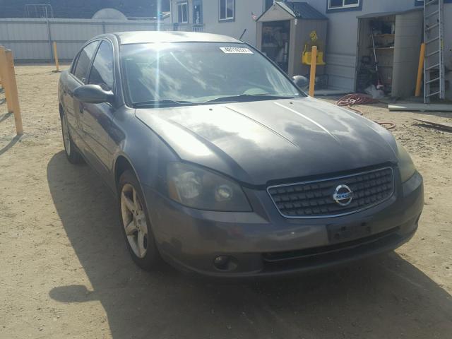 1N4BL11D75C178684 - 2005 NISSAN ALTIMA SE GRAY photo 1