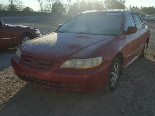 1HGCG56762A074774 - 2002 HONDA ACCORD SE RED photo 2