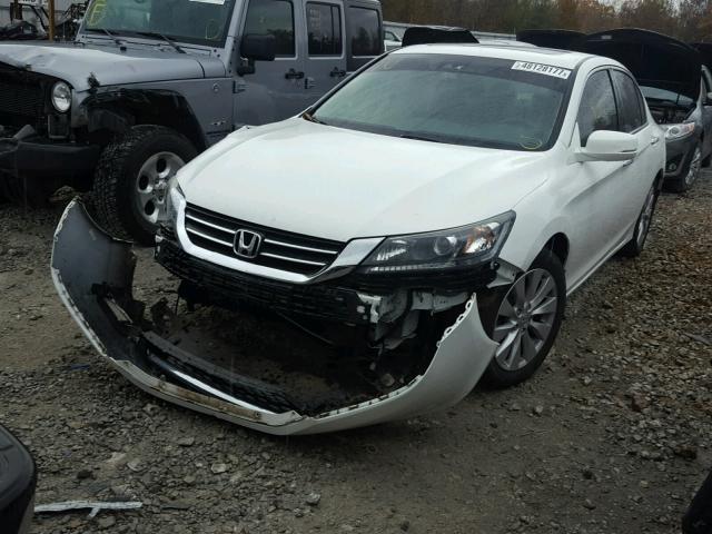 1HGCR2F87EA163288 - 2014 HONDA ACCORD EXL WHITE photo 2