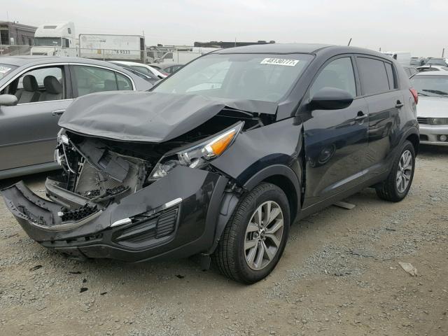 KNDPB3AC9F7768482 - 2015 KIA SPORTAGE L BLACK photo 2