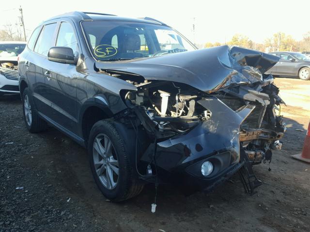 5NMSHDAG5AH352965 - 2010 HYUNDAI SANTA FE S BLACK photo 1