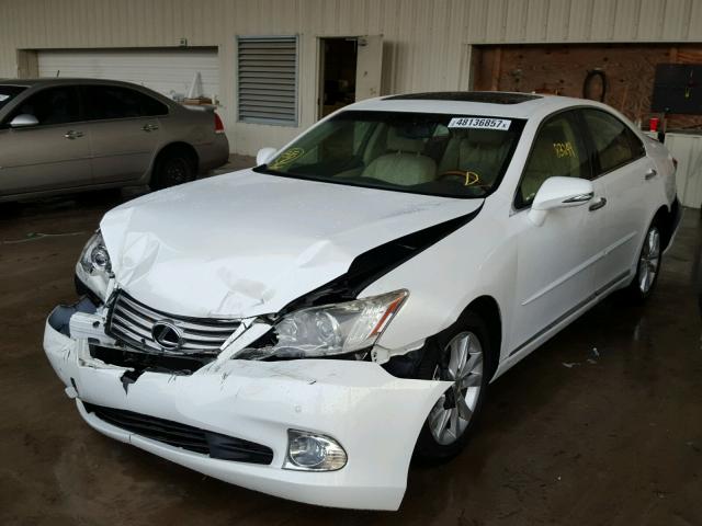 JTHBK1EG6C2505384 - 2012 LEXUS ES 350 WHITE photo 2