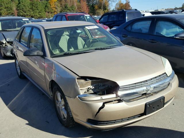 1G1ZT62875F268707 - 2005 CHEVROLET MALIBU MAX 金色 照片 1