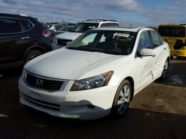 1HGCP36859A050800 - 2009 HONDA ACCORD EXL WHITE photo 2