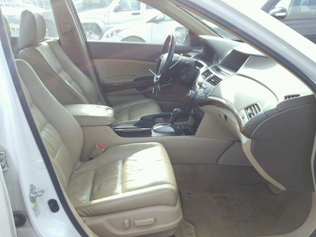 1HGCP36859A050800 - 2009 HONDA ACCORD EXL WHITE photo 5