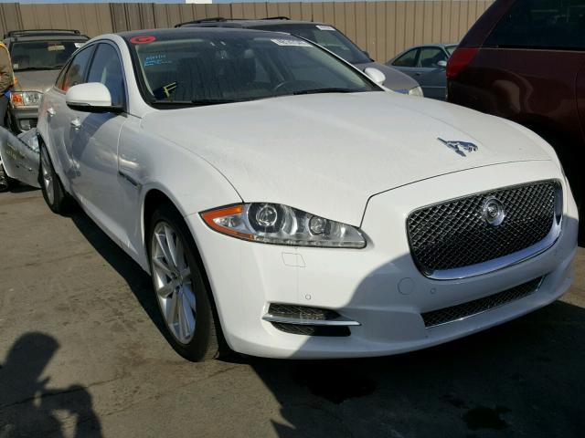 SAJWA1C7XD8V39658 - 2013 JAGUAR XJ WHITE photo 1