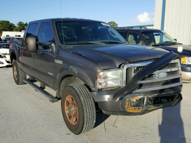 1FTSW21P25EB45484 - 2005 FORD F250 SUPER GRAY photo 1