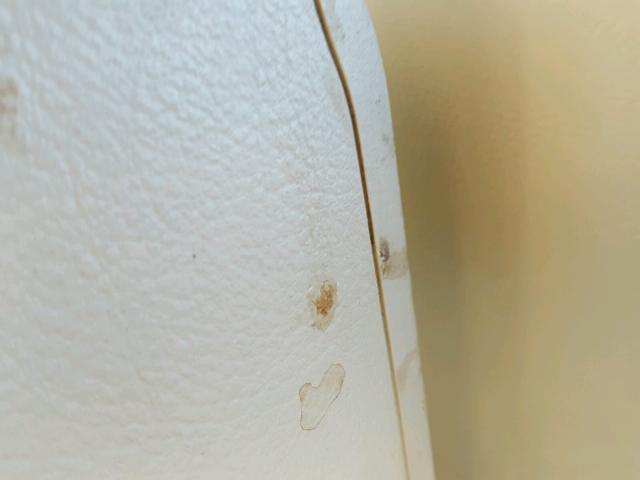 3VWPF31Y88M412093 - 2008 VOLKSWAGEN NEW BEETLE 绿色 照片 9