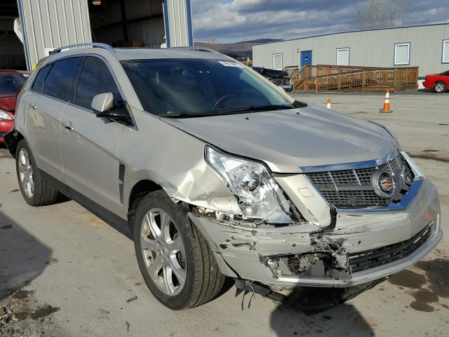 3GYFNEEY0BS510863 - 2011 CADILLAC SRX PERFOR GOLD photo 1