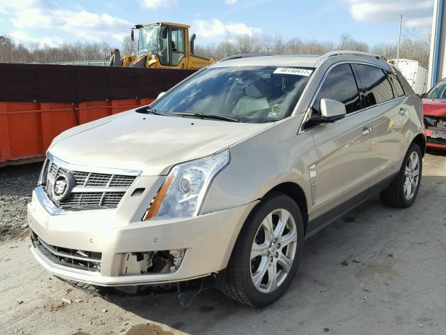 3GYFNEEY0BS510863 - 2011 CADILLAC SRX PERFOR GOLD photo 2