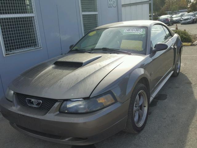 1FAFP42X82F203991 - 2002 FORD MUSTANG GT GOLD photo 2