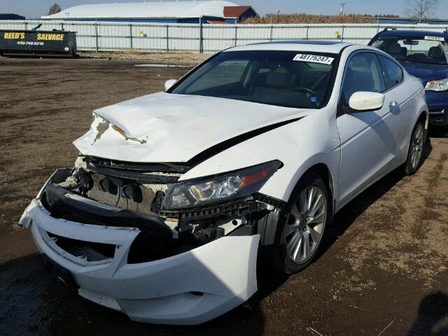 1HGCS22868A016815 - 2008 HONDA ACCORD EXL Ağ foto 2