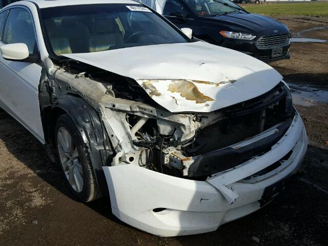 1HGCS22868A016815 - 2008 HONDA ACCORD EXL Ağ foto 9