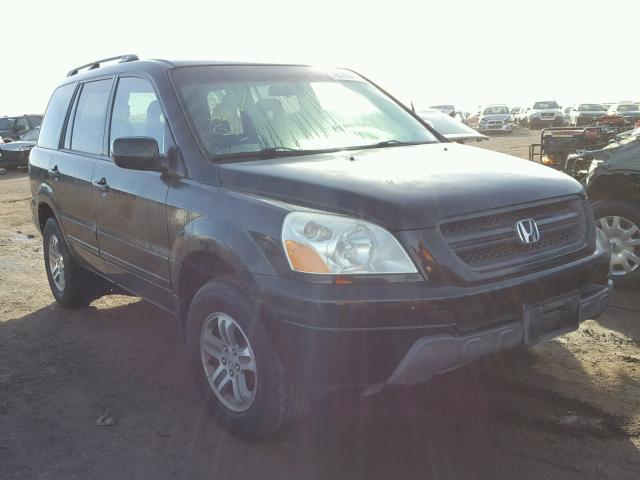 2HKYF18403H605660 - 2003 HONDA PILOT EX BLACK photo 1