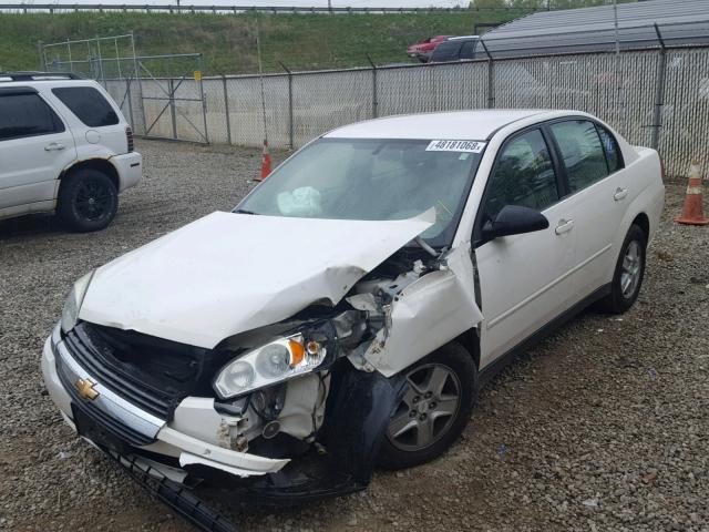 1G1ZT52895F341716 - 2005 CHEVROLET MALIBU LS 白色 照片 2