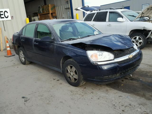 1G1ZT54865F243904 - 2005 CHEVROLET MALIBU LS BLUE photo 1