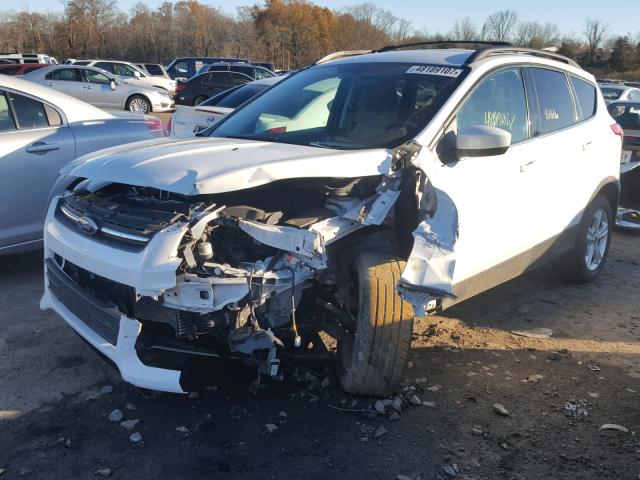 1FMCU0G95DUB85307 - 2013 FORD ESCAPE SE WHITE photo 2