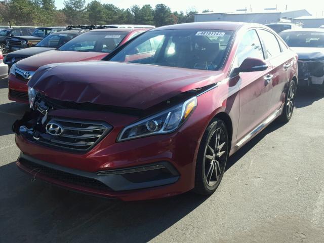 5NPE34AB1FH095944 - 2015 HYUNDAI SONATA SPO MAROON photo 2