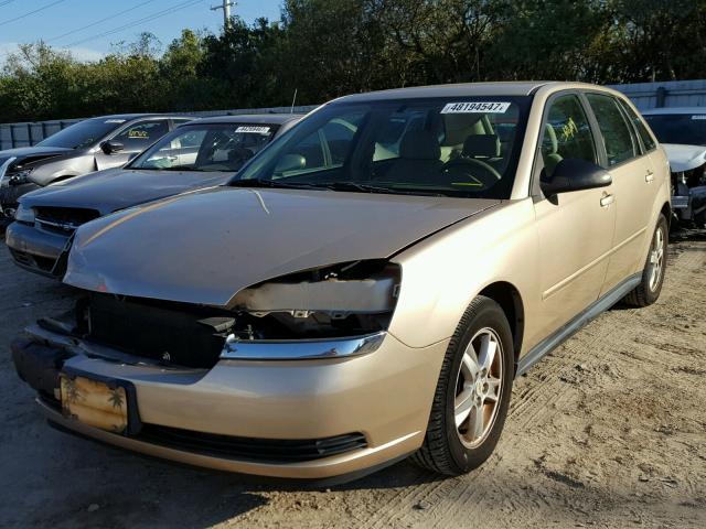 1G1ZT62825F289674 - 2005 CHEVROLET MALIBU MAX 金色 照片 2