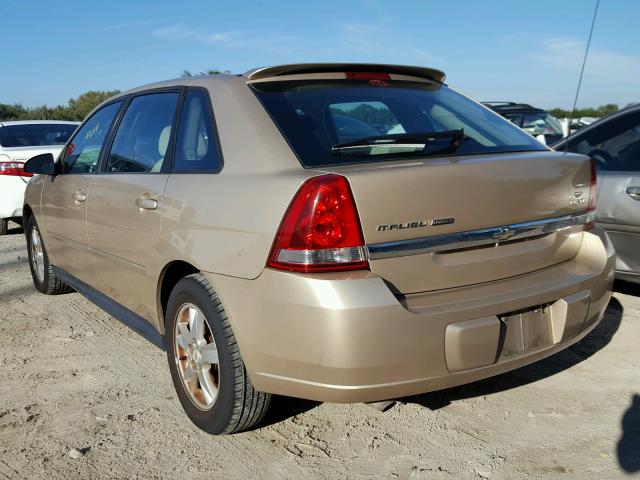 1G1ZT62825F289674 - 2005 CHEVROLET MALIBU MAX 金色 照片 3