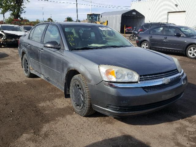 1G1ZT52804F240644 - 2004 CHEVROLET MALIBU LS Boz foto 1