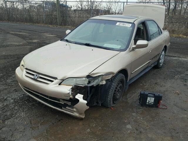 1HGCG56742A810224 - 2002 HONDA ACCORD SE GOLD photo 2