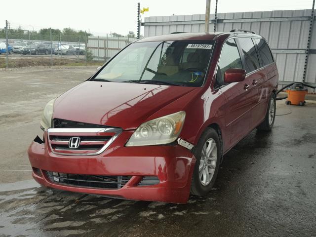 5FNRL38465B402623 - 2005 HONDA ODYSSEY EX RED photo 2