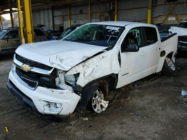 1GCGSCEN1H1236502 - 2017 CHEVROLET COLORADO L WHITE photo 2