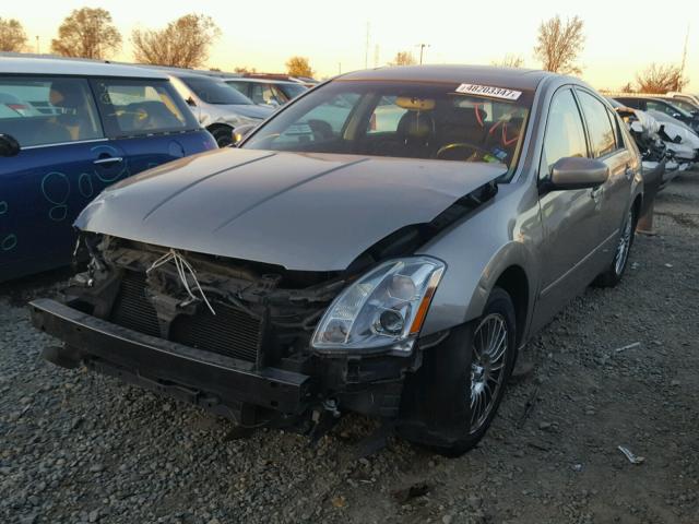 1N4BA41E04C856934 - 2004 NISSAN MAXIMA SE GRAY photo 2