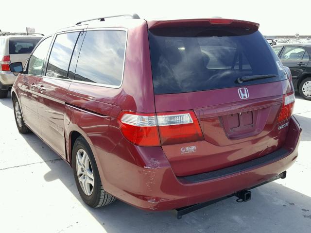 5FNRL38765B051674 - 2005 HONDA ODYSSEY EX RED photo 3