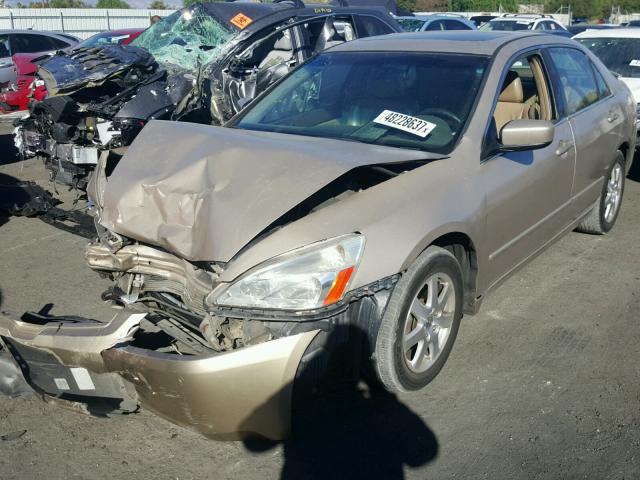 1HGCM66535A010239 - 2005 HONDA ACCORD EX BEIGE photo 2