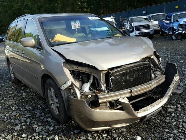 5FNRL38665B041279 - 2005 HONDA ODYSSEY EX GOLD photo 1