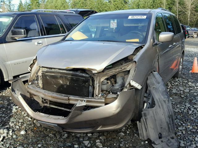 5FNRL38665B041279 - 2005 HONDA ODYSSEY EX GOLD photo 2
