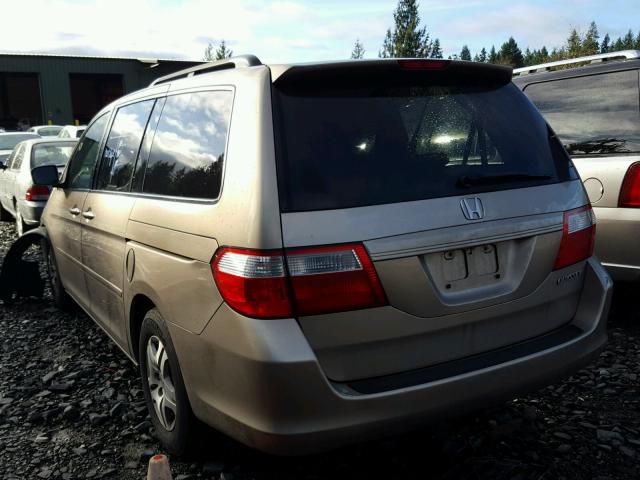 5FNRL38665B041279 - 2005 HONDA ODYSSEY EX GOLD photo 3