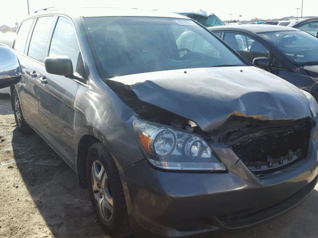 5FNRL38717B424817 - 2007 HONDA ODYSSEY EX GRAY photo 1