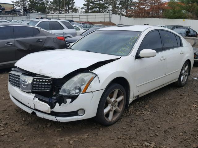 1N4BA41E34C884565 - 2004 NISSAN MAXIMA SE WHITE photo 2