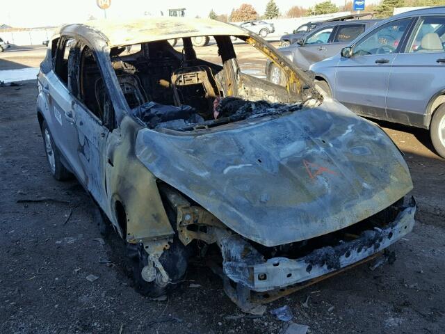 1FMCU9GX6EUB94859 - 2014 FORD ESCAPE SE BURN photo 1