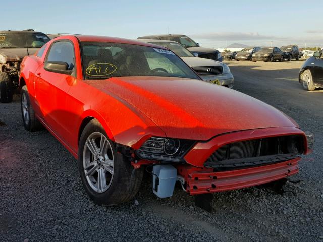 1ZVBP8AM8D5237037 - 2013 FORD MUSTANG RED photo 1