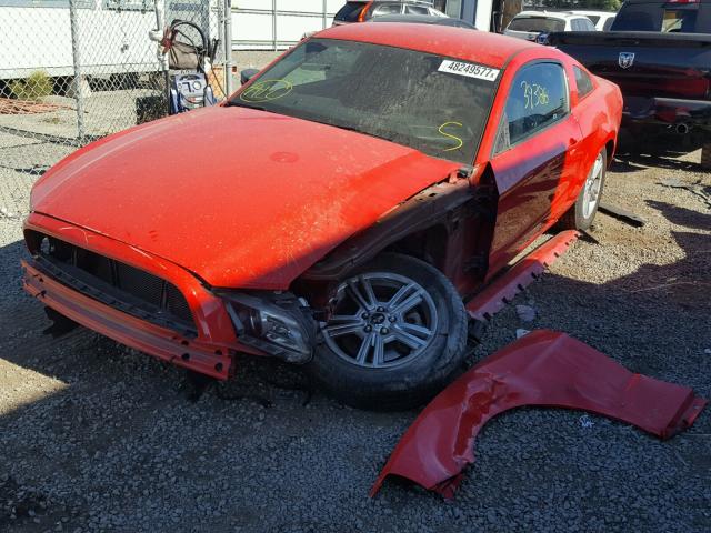 1ZVBP8AM8D5237037 - 2013 FORD MUSTANG RED photo 2