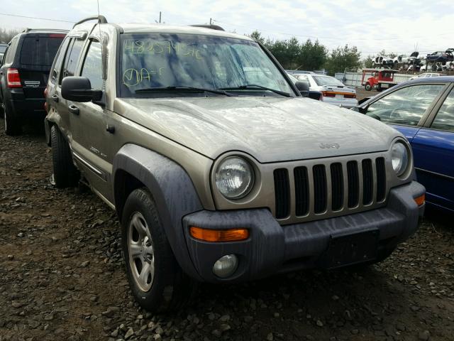 1J4GL48K63W574505 - 2003 JEEP LIBERTY SP GRAY photo 1